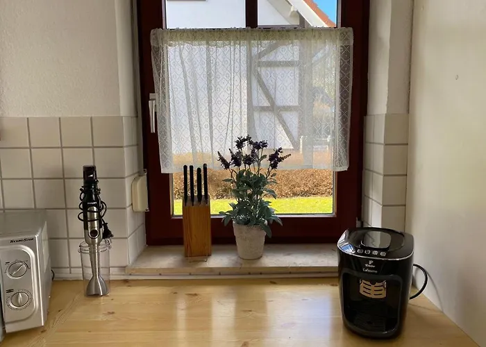 Ferienwohnung-kapitaen-hook-mit-sonnenterrasse-garten-zwischen-strand-wald-wiese-auf-ruegen